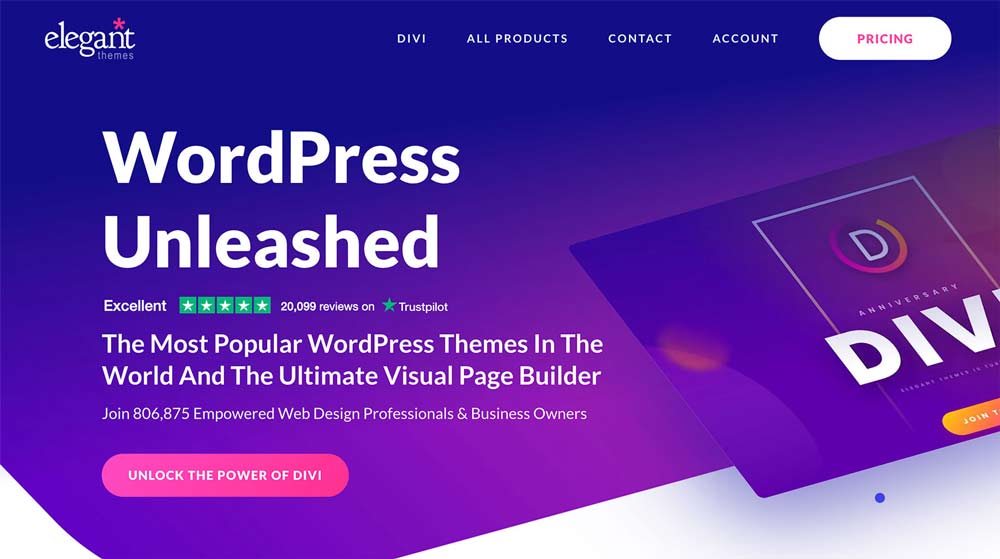 Divi theme, visual builder option