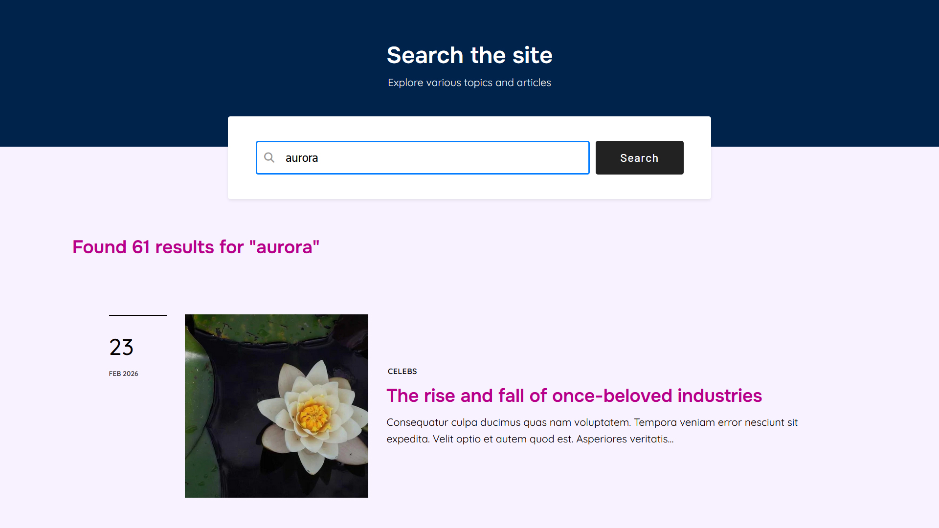 Aurora WordPress theme search page style