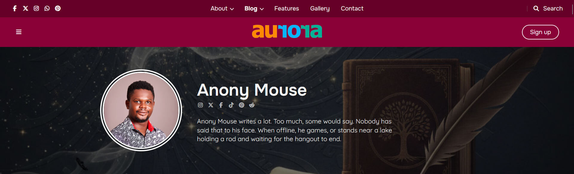 Aurora's Author layout showing social icons