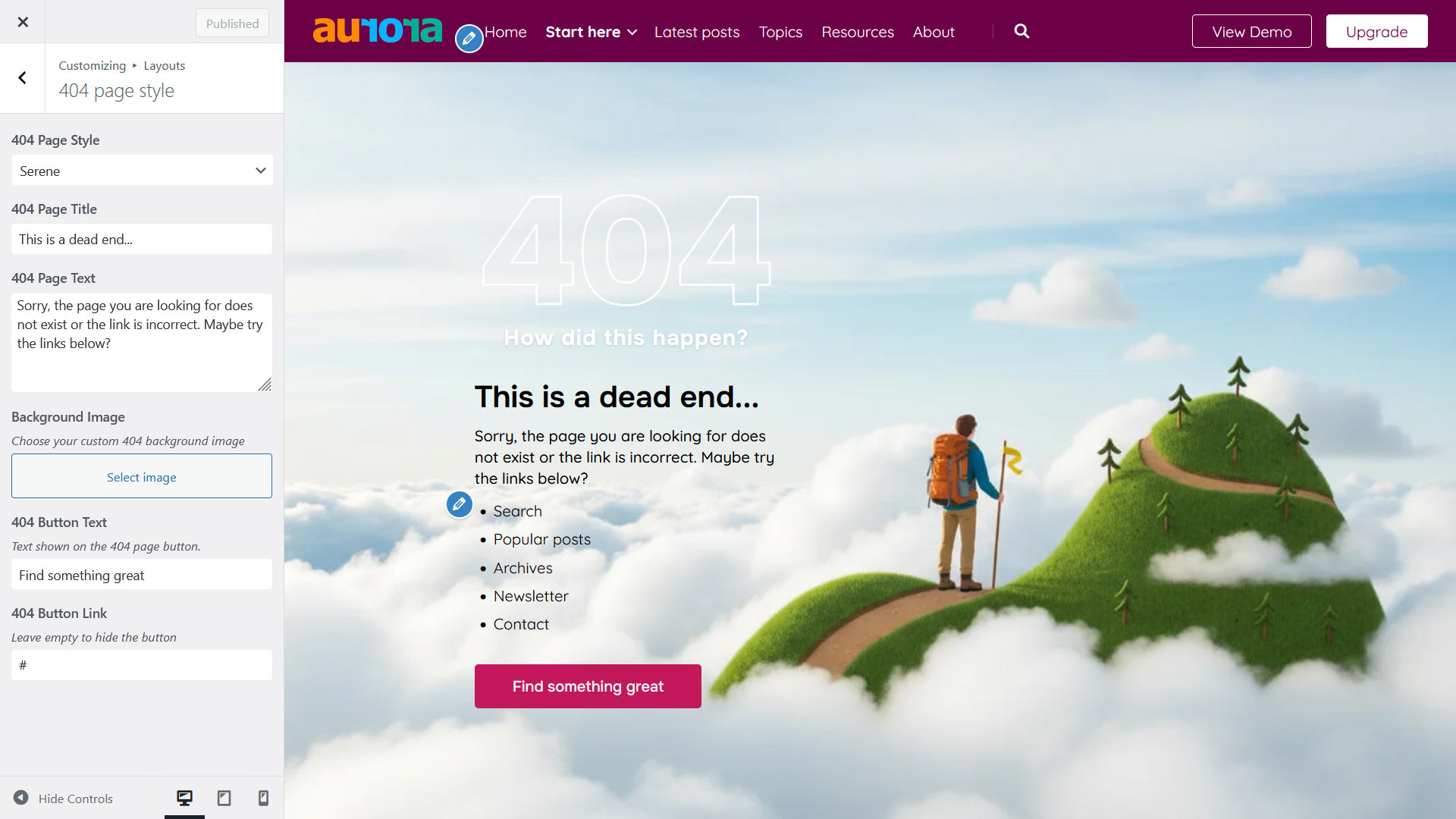 Aurora WP Theme's 404 settings
