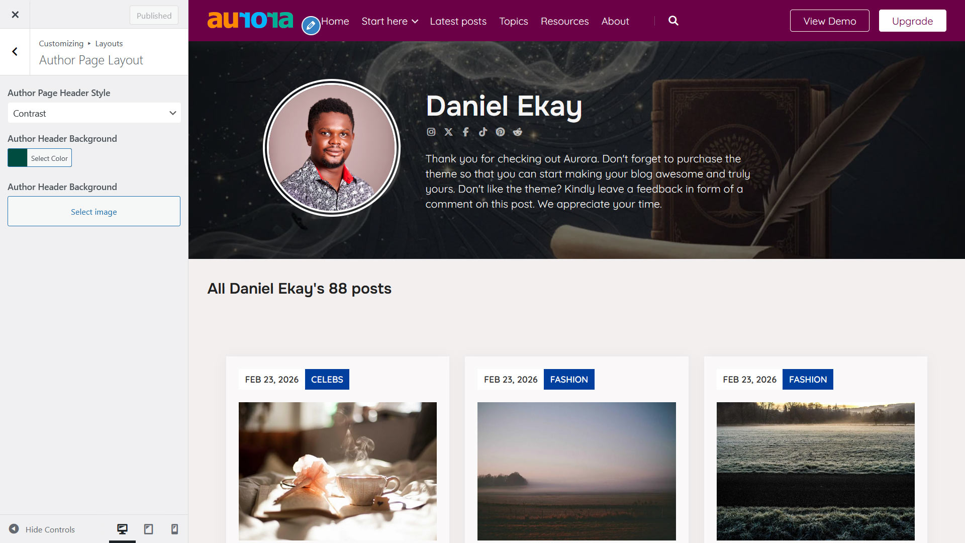 Aurora WordPress theme's author page setting preview