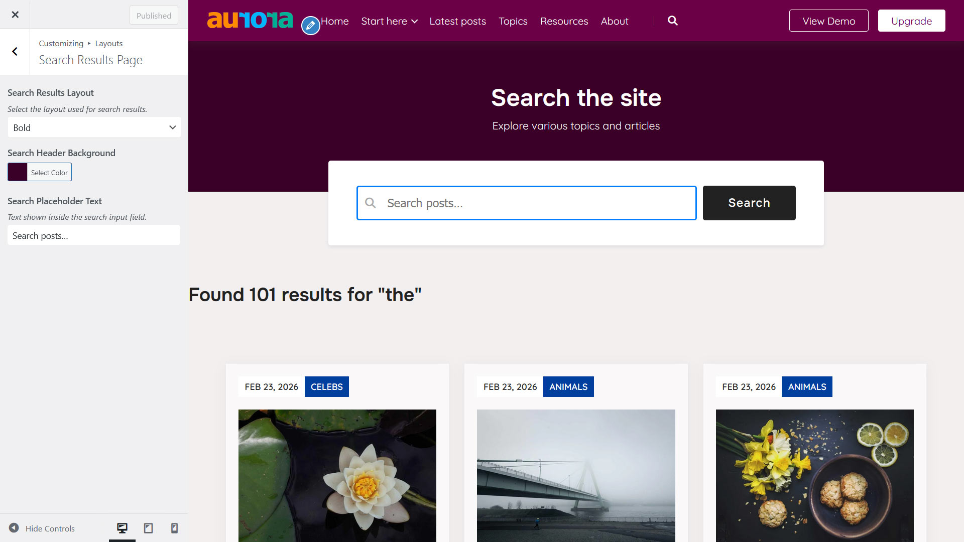Aurora WordPress theme's search page setting preview