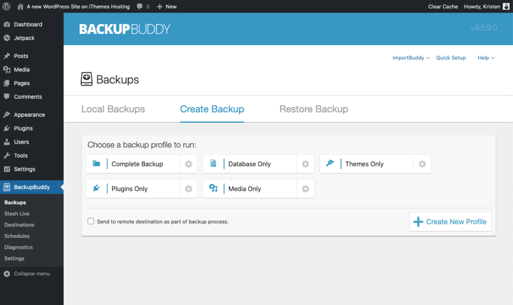 Backing up a site before switching WordPress themes